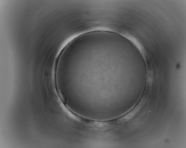 X0000097460910200802291233