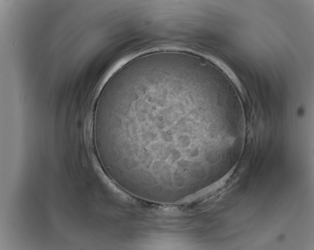 X0000097460911200802291233