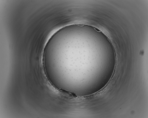 X0000097460912200802291233