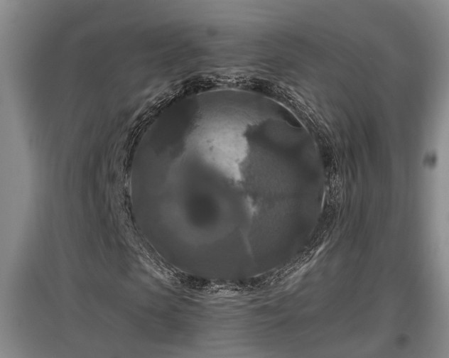 X0000097460913200802291232