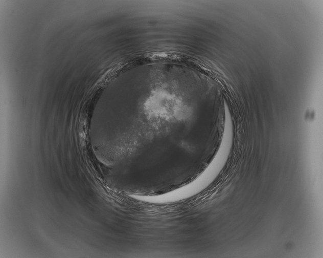 X0000097460915200802291232