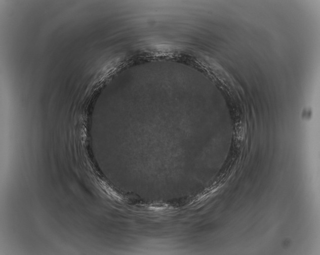 X0000097460916200802291232