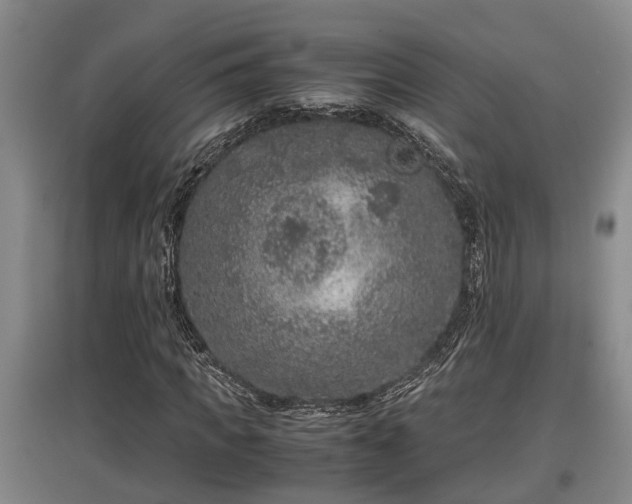 X0000097460917200802291232