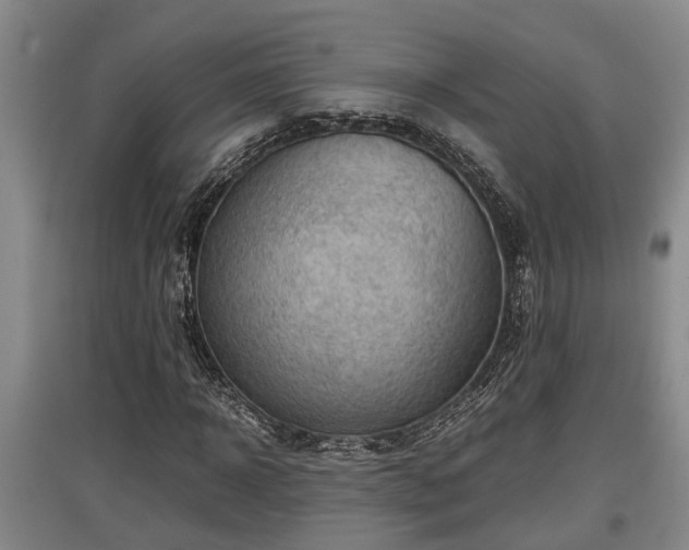 X0000097460918200802291232