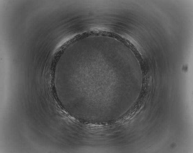 X0000097460919200802291232