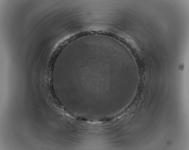 X0000097460920200802291232