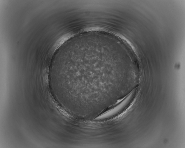 X0000097460921200802291232