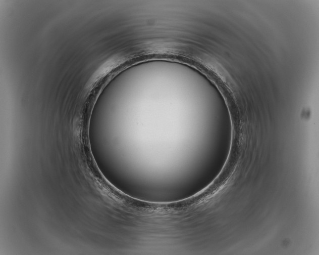 X0000097460922200802291232