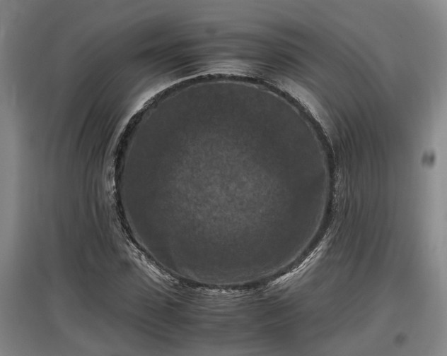 X0000097460923200802291232