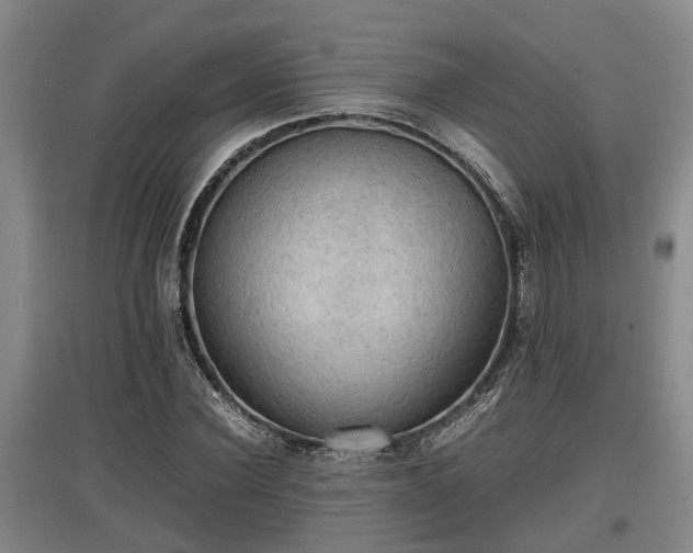 X0000097460924200802291232