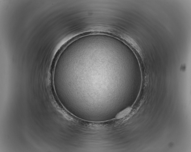 X0000097460928200802291232