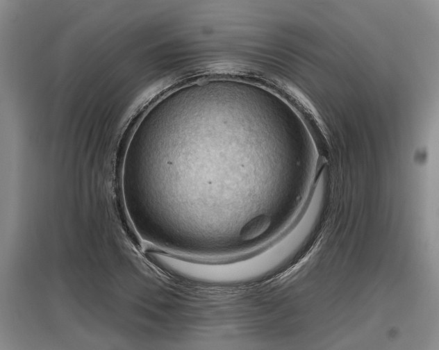 X0000097460930200802291232