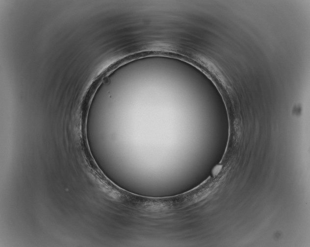 X0000097460931200802291233