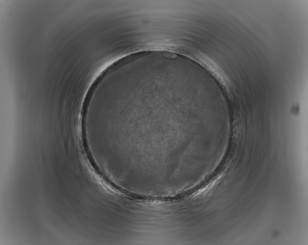 X0000097460932200802291233