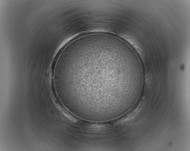 X0000097460933200802291233