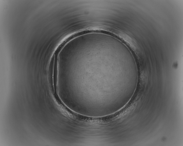 X0000097460934200802291233