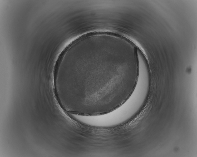 X0000097460935200802291233