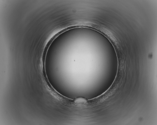 X0000097460936200802291233