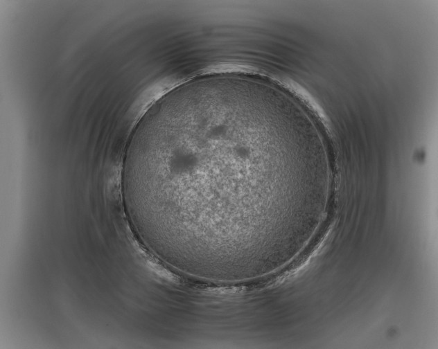 X0000097460937200802291233