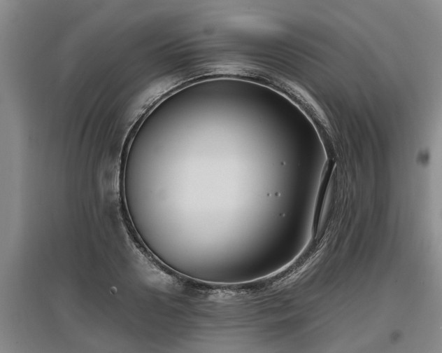 X0000097460938200802291233