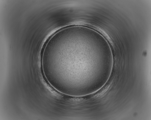 X0000097460939200802291233