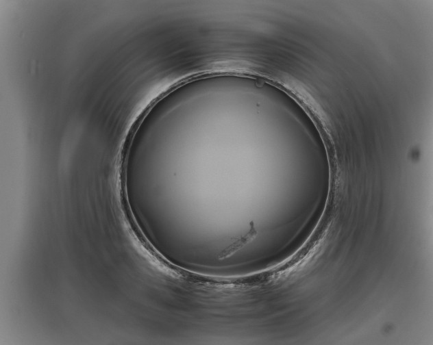 X0000097460941200802291233