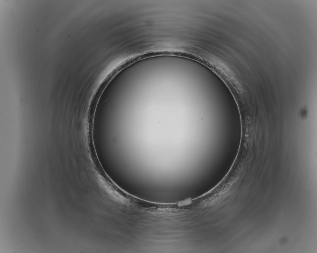 X0000097460942200802291233