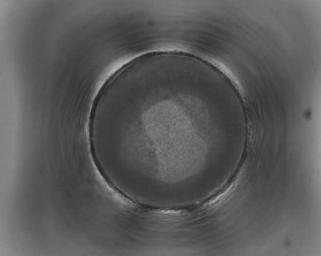 X0000097460943200802291233