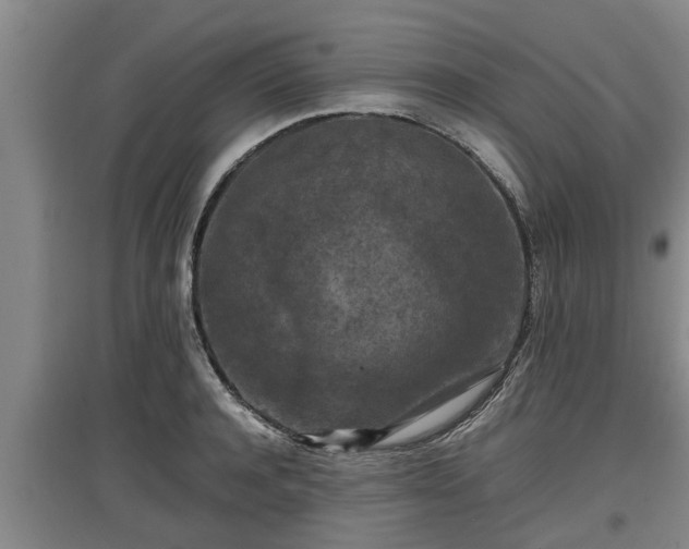 X0000097460944200802291233