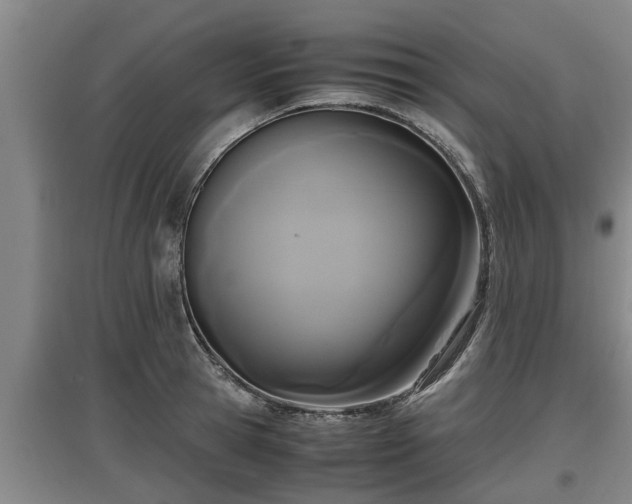 X0000097460945200802291233