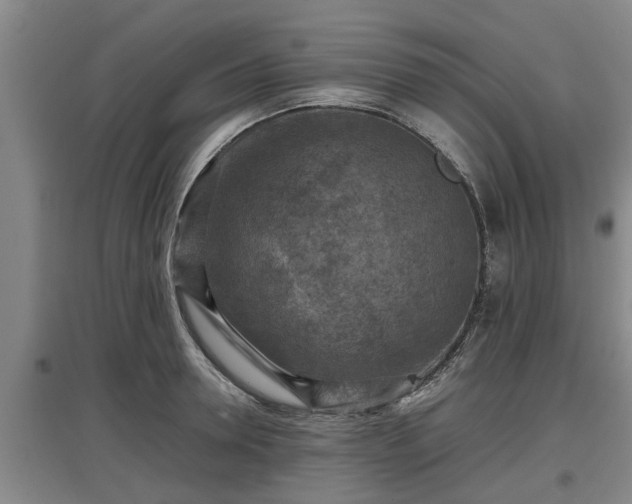 X0000097460946200802291233