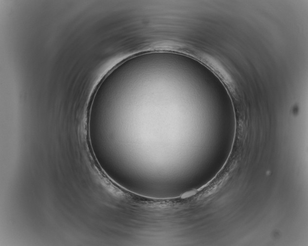 X0000097460948200802291233