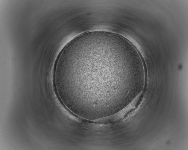 X0000097460949200802291233