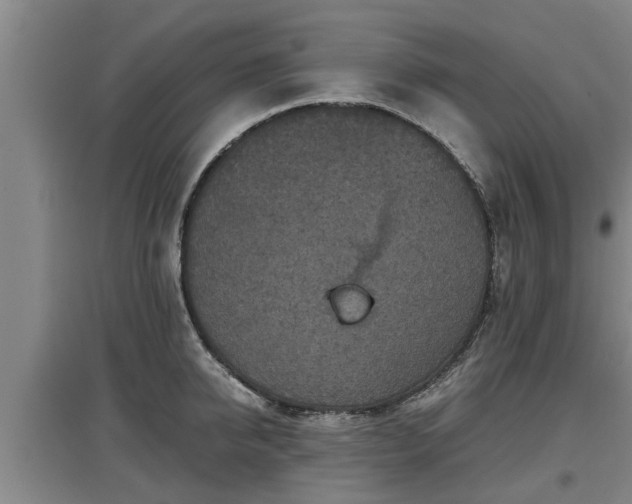 X0000097460950200802291233