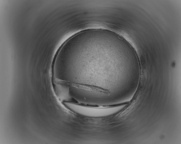 X0000097460951200802291233