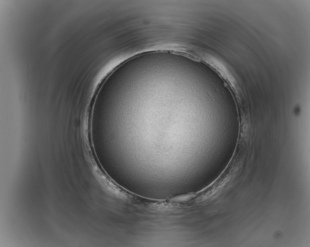 X0000097460952200802291233