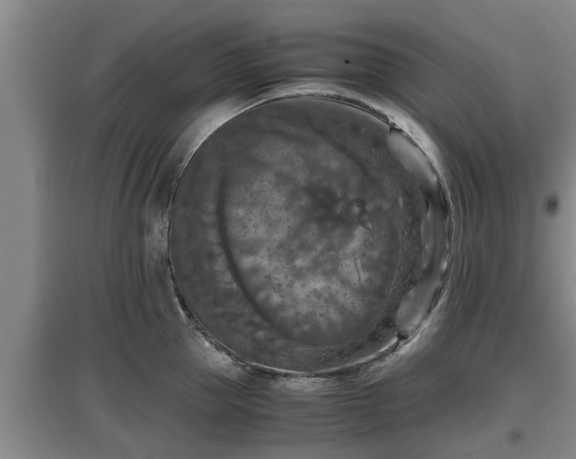 X0000097460953200802291233