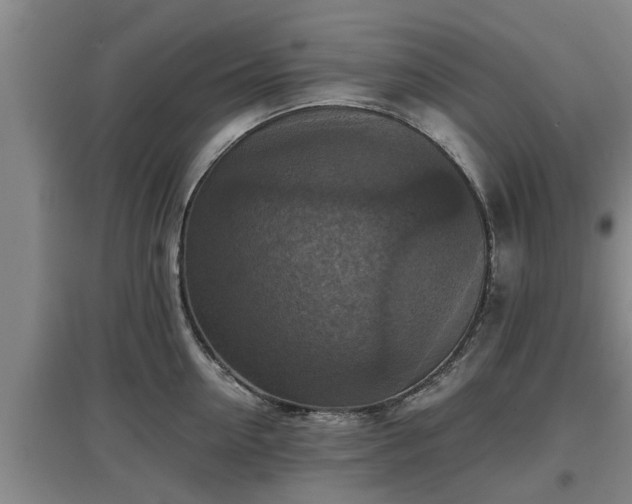 X0000097460954200802291233