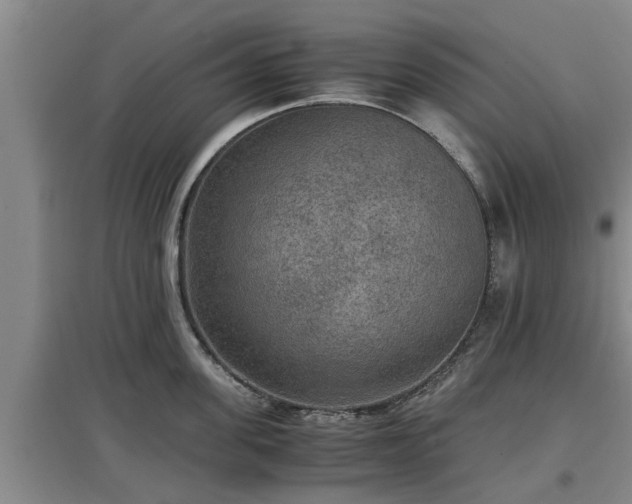 X0000097460955200802291233