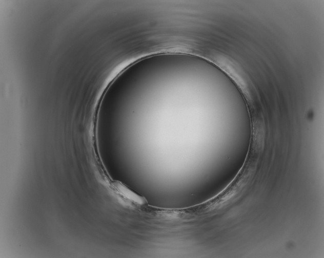 X0000097460956200802291233