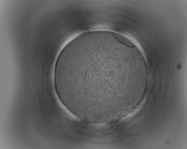 X0000097460957200802291233