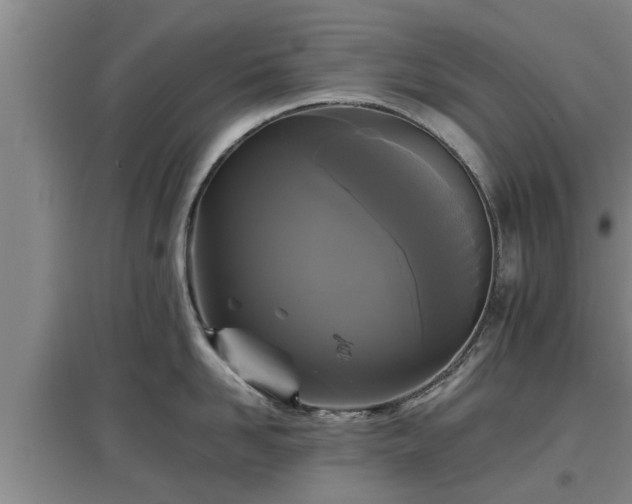 X0000097460958200802291233