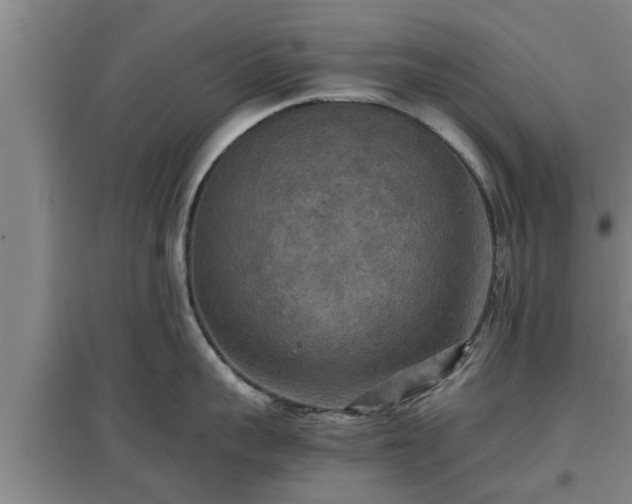 X0000097460959200802291233