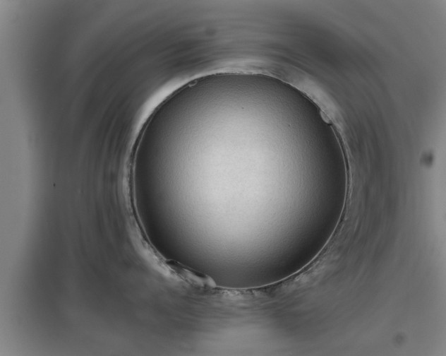 X0000097460960200802291233