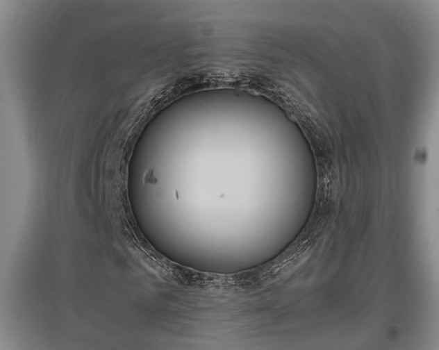 X0000097460961200802291232