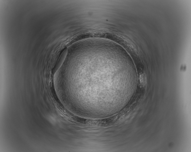 X0000097460963200802291232