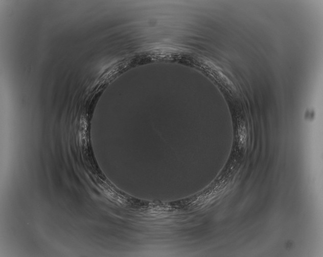 X0000097460964200802291232