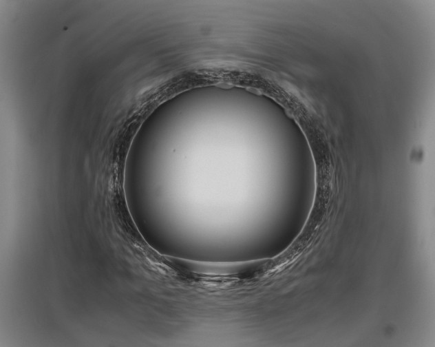 X0000097460965200802291232