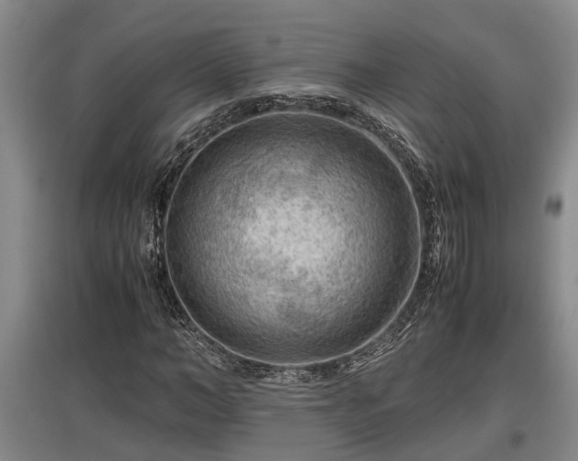 X0000097460966200802291232