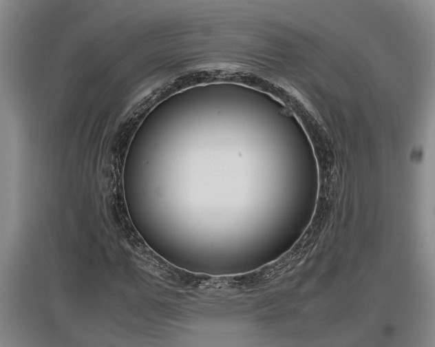 X0000097460967200802291232